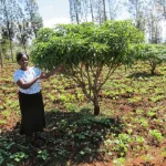 TIST Program in Uganda