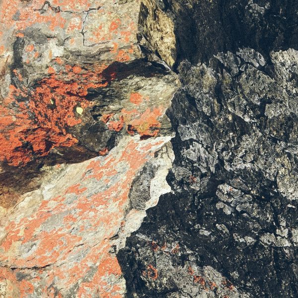 Frontier 2027 Portfolio